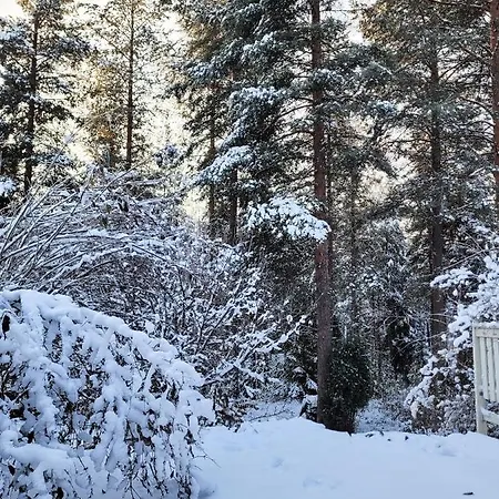 Апартаменты Nordic *